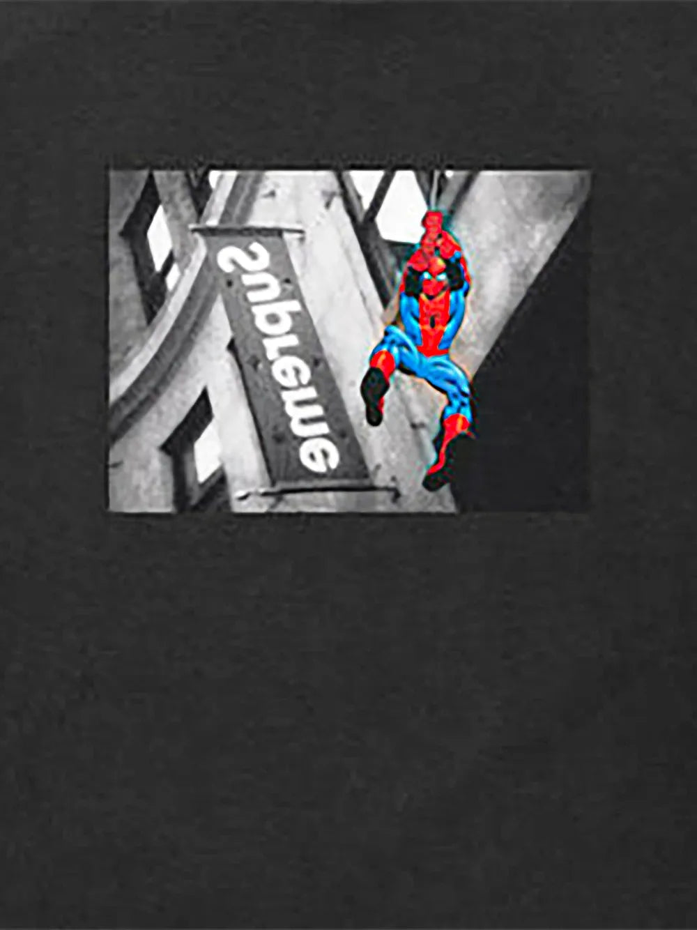 Supreme playera Spider-Man | Playeras | Image 2